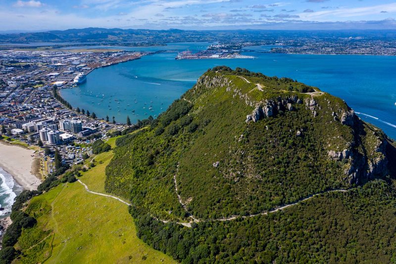Aerial view of Mount Maunganui - Club Mount Maunganui SEO case study by Bay Web Co