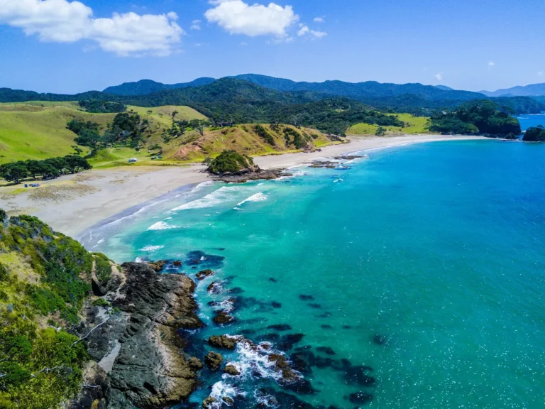 Web Design Across the Bay of Plenty: Every Area We Service