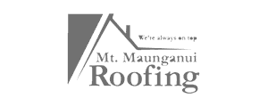 Mt Maunganui Roofing