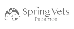 Spring Vets Papamoa